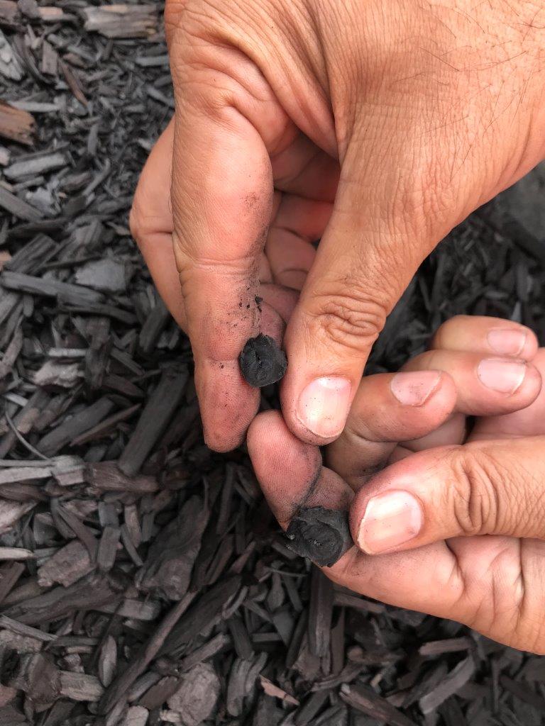 Bild_mit_Aktivkohle_2