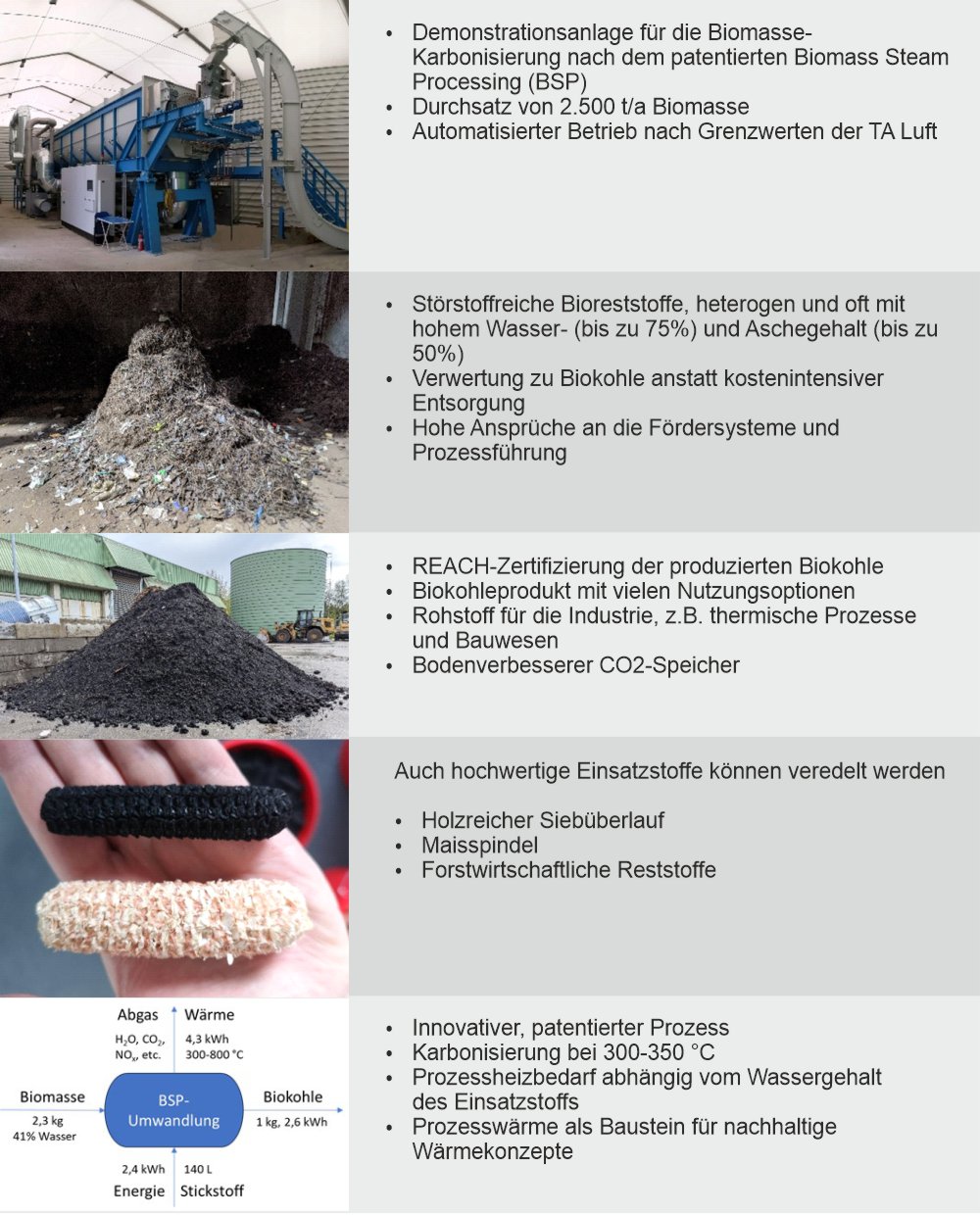 Projektbeschreibung_in_Tabellenform_5