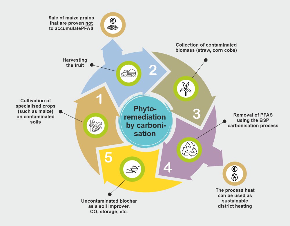 Phytoremediation_by_carbonisation_eng